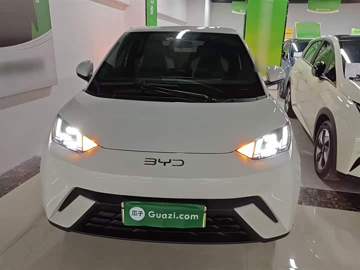 Фото 3 - BYD Seagull