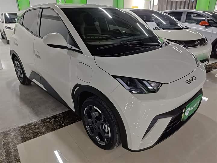 Фото 4 - BYD Seagull