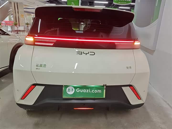 Фото 6 - BYD Seagull