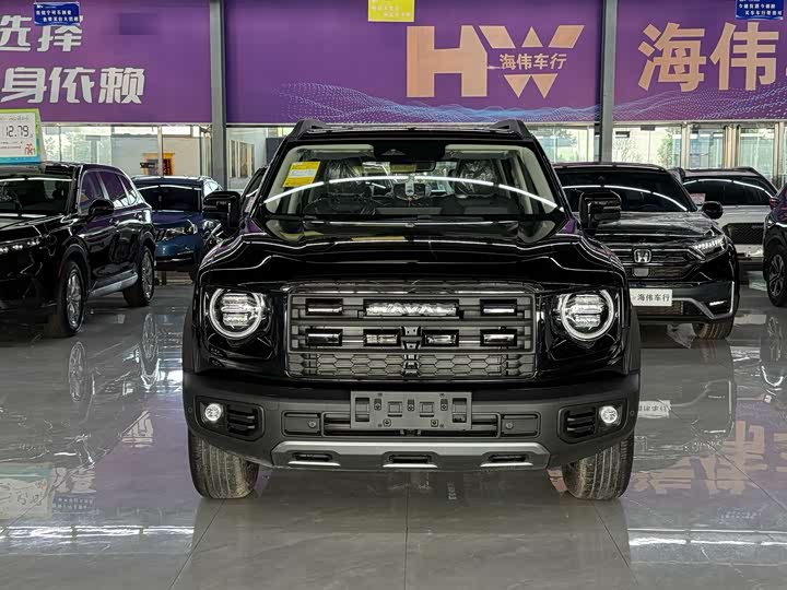 Фото 5 - Haval Dargo