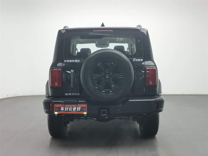 Фото 4 - Tank 300