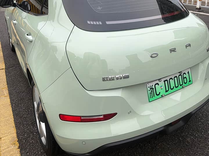 Фото 6 - Ora Good Cat (03)