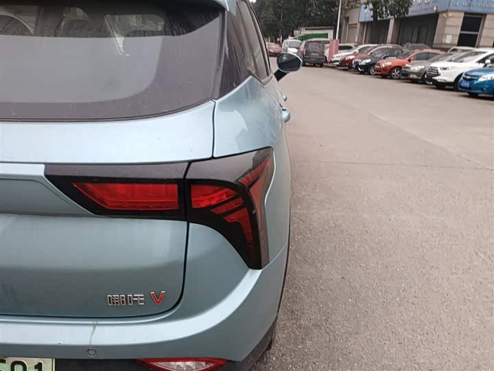 Фото 8 - Hozon V