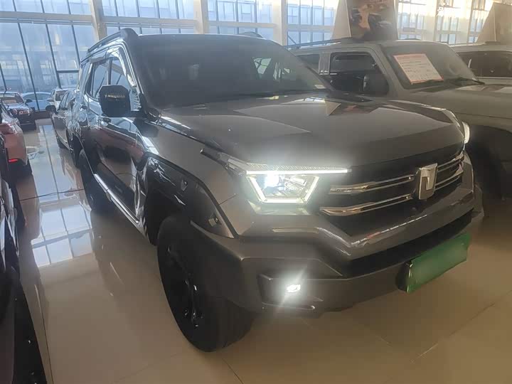 Фото 4 - Tank 400 Hybrid