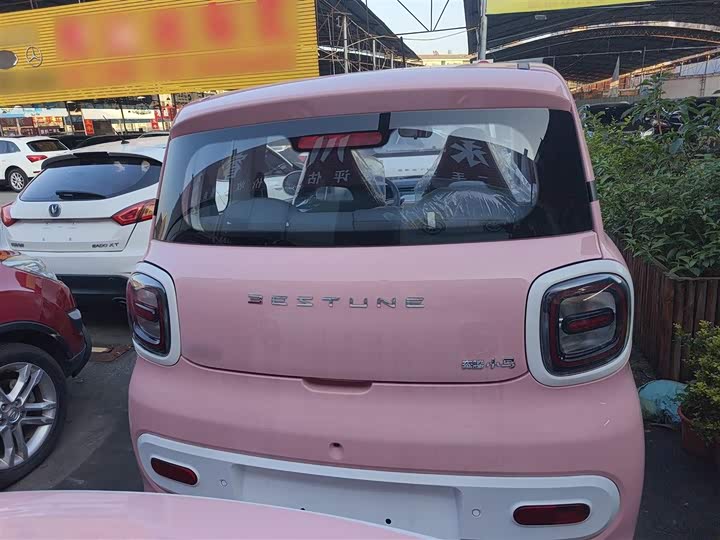 Фото 6 - Bestune Pony