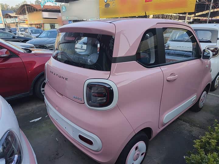 Фото 7 - Bestune Pony