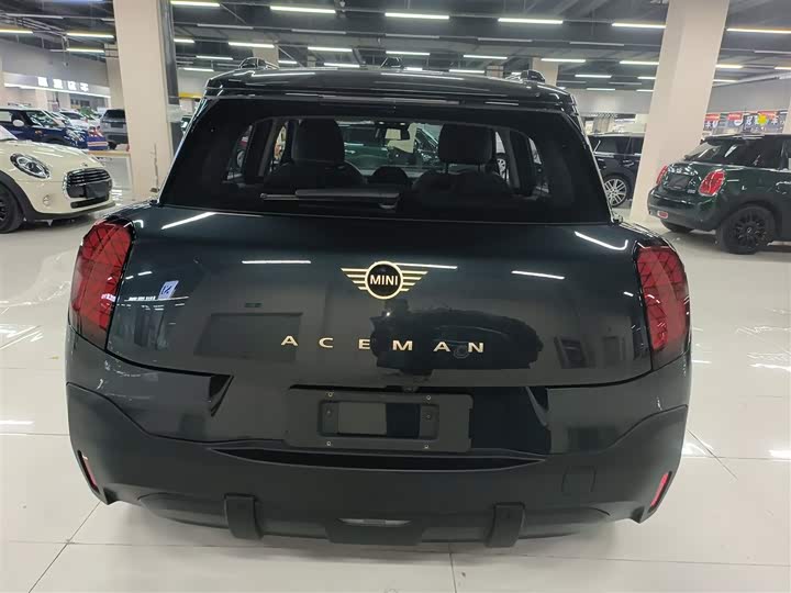 Фото 6 - Mini Aceman
