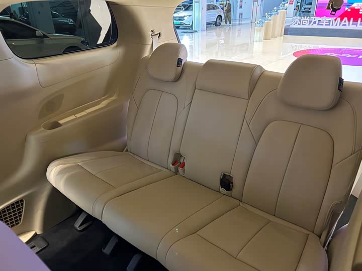 Фото 24 - Buick GL8 ES