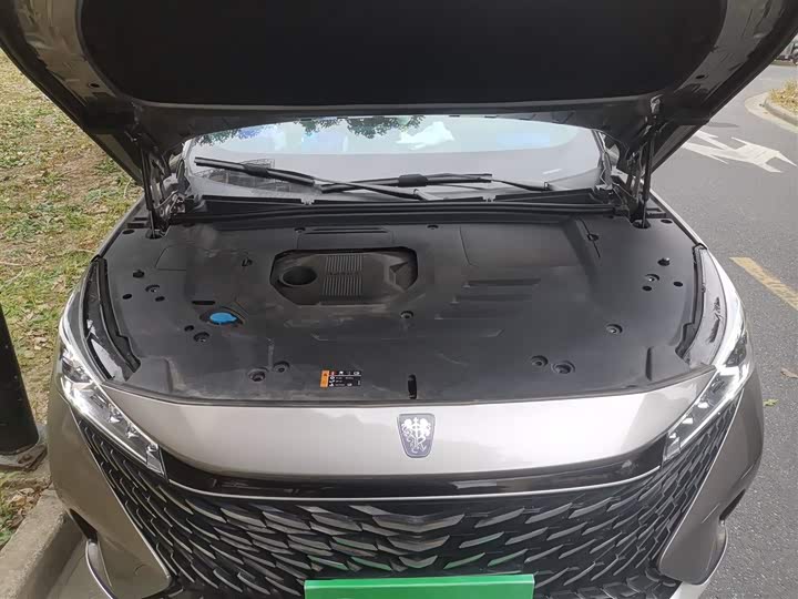 Фото 11 - Roewe RX5