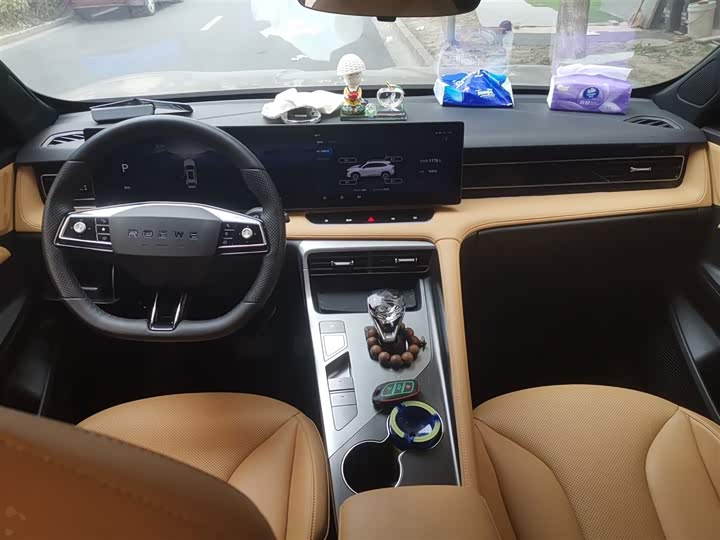 Фото 13 - Roewe RX5