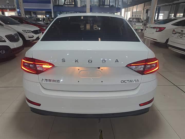 Фото 6 - Skoda Octavia Pro