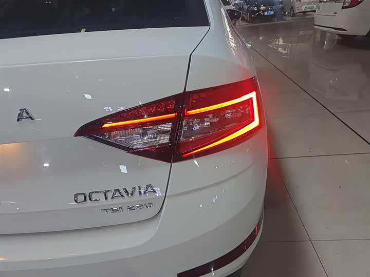 Фото 8 - Skoda Octavia Pro