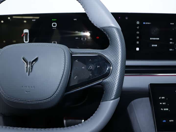 Фото 14 - Voyah Passion