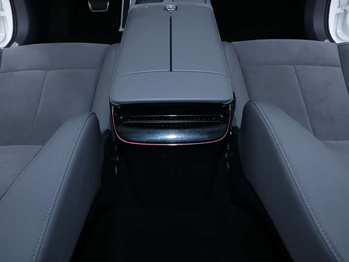 Фото 16 - Voyah Passion