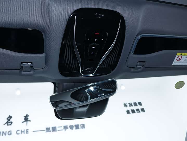 Фото 20 - Voyah Passion