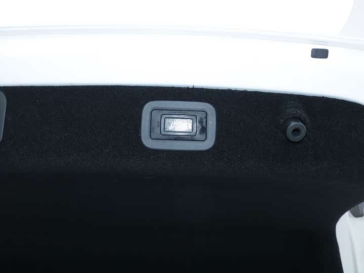 Фото 23 - Voyah Passion