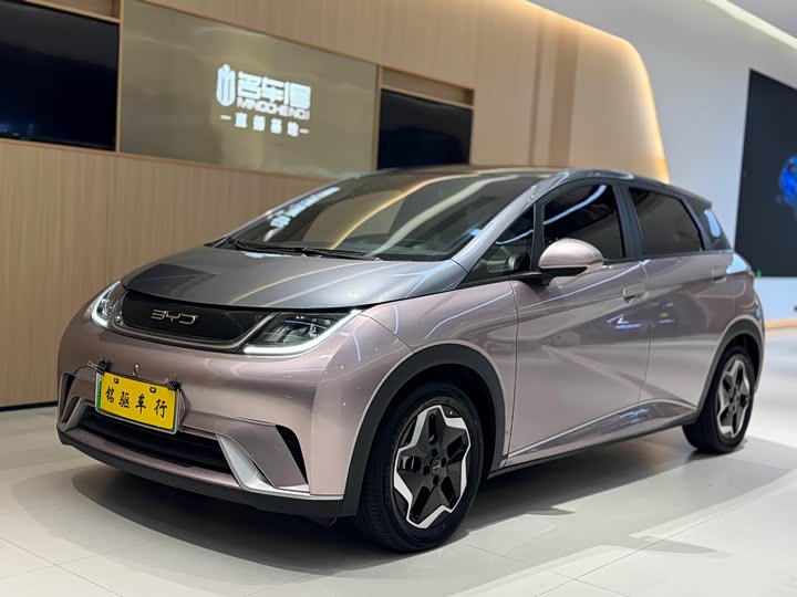 Фото 1 - BYD Dolphin