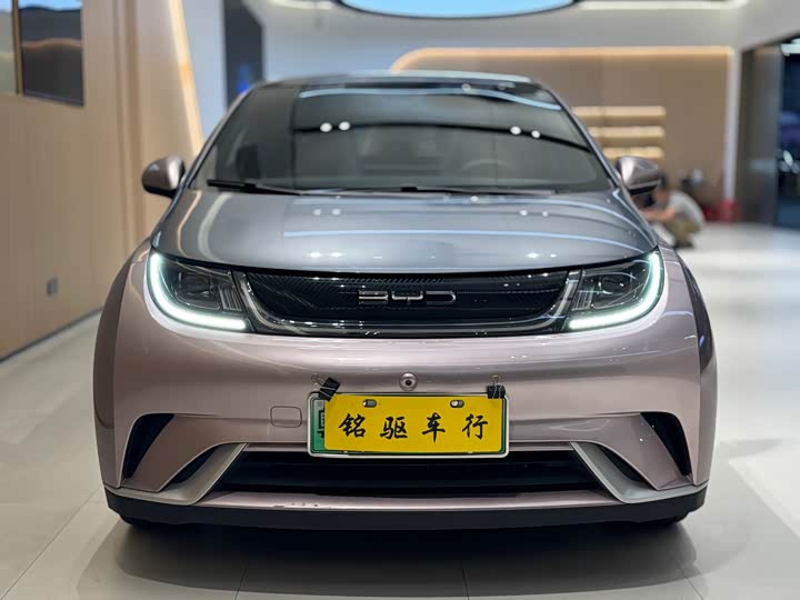 Фото 2 - BYD Dolphin