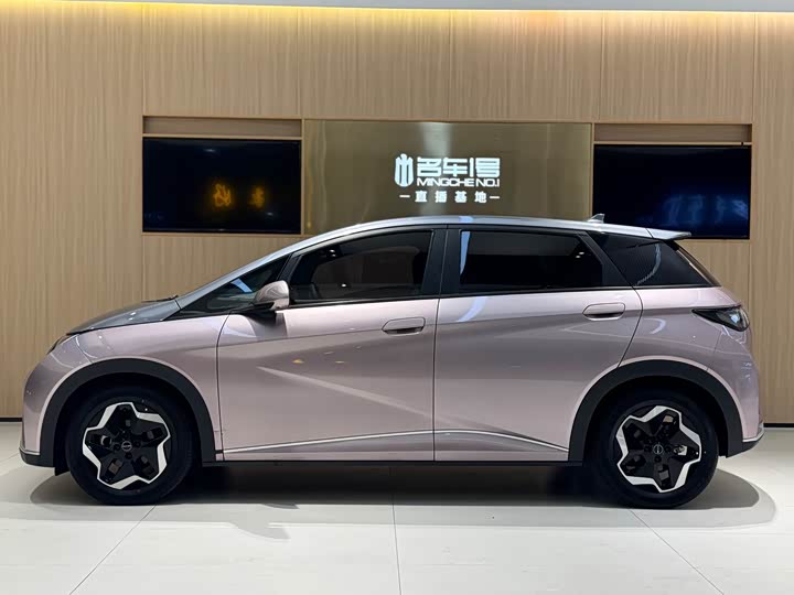 Фото 3 - BYD Dolphin