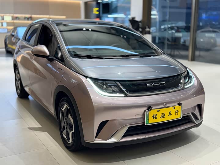 Фото 6 - BYD Dolphin