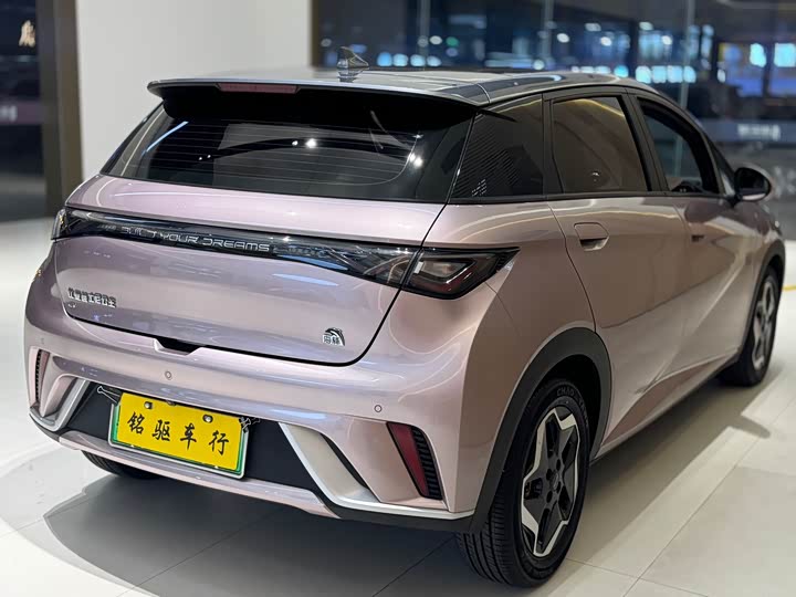 Фото 7 - BYD Dolphin