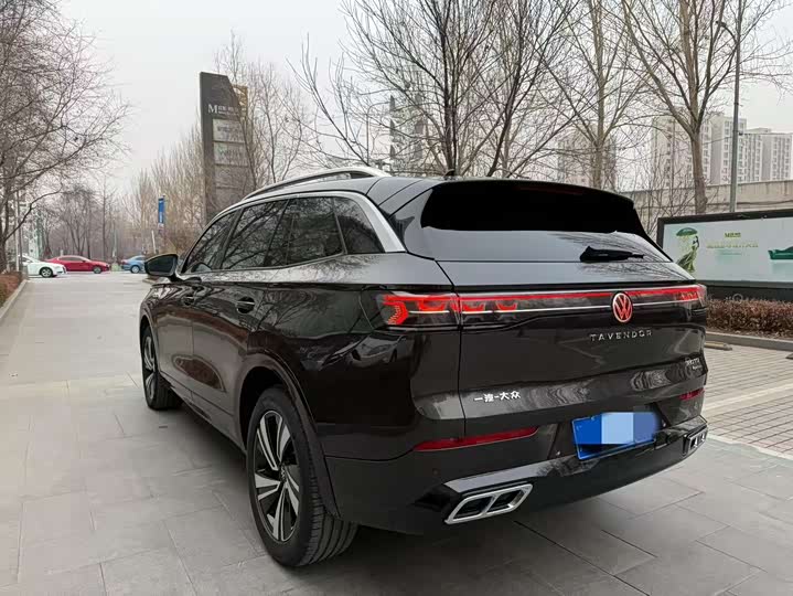 Фото 7 - Volkswagen Tavendor