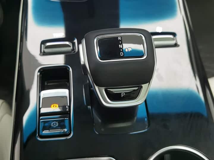 Фото 13 - Dongfeng Forthing Xinghai V9