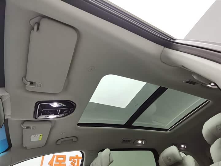 Фото 14 - Dongfeng Forthing Xinghai V9