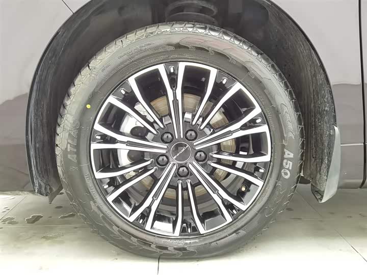 Фото 17 - Dongfeng Forthing Xinghai V9