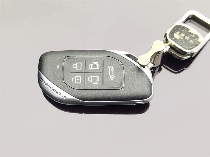 Фото 19 - Dongfeng Forthing Xinghai V9