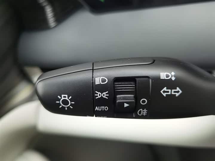 Фото 21 - Dongfeng Forthing Xinghai V9