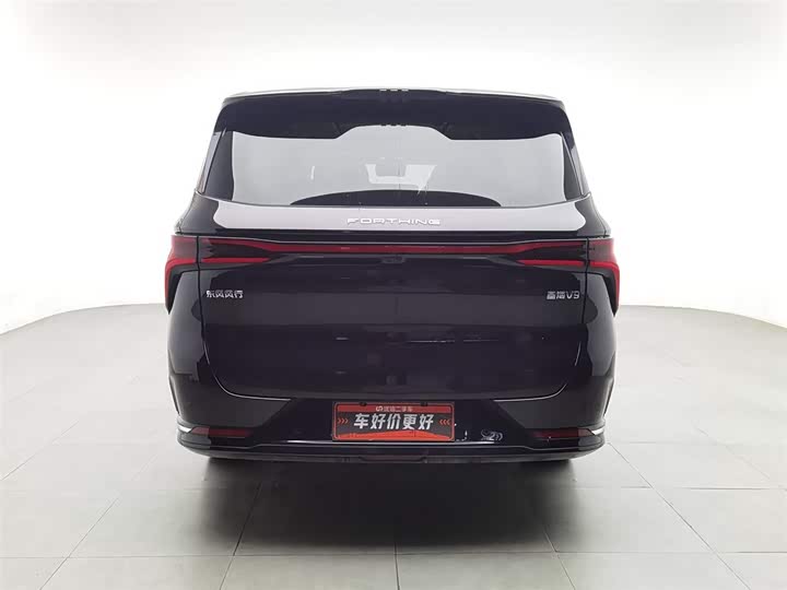 Фото 4 - Dongfeng Forthing Xinghai V9