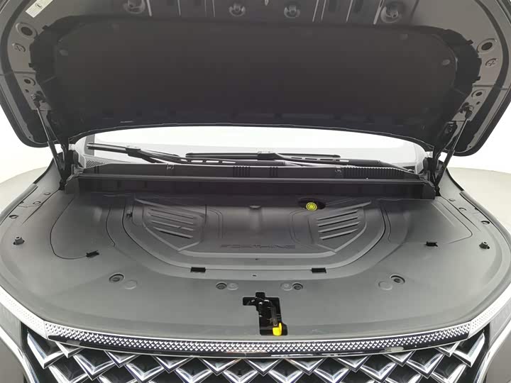 Фото 6 - Dongfeng Forthing Xinghai V9