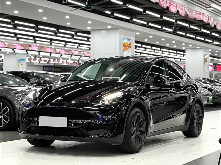 Фото 1 - Tesla Model Y