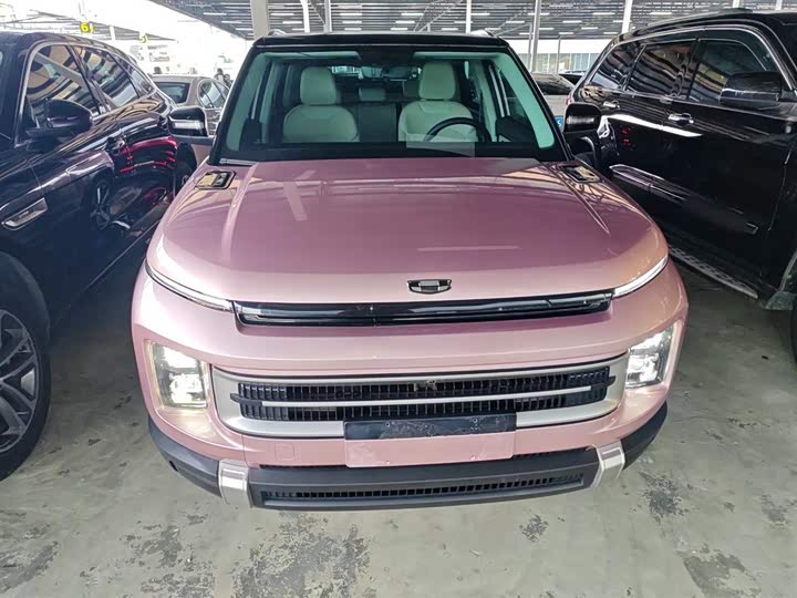 Фото 3 - Geely Icon