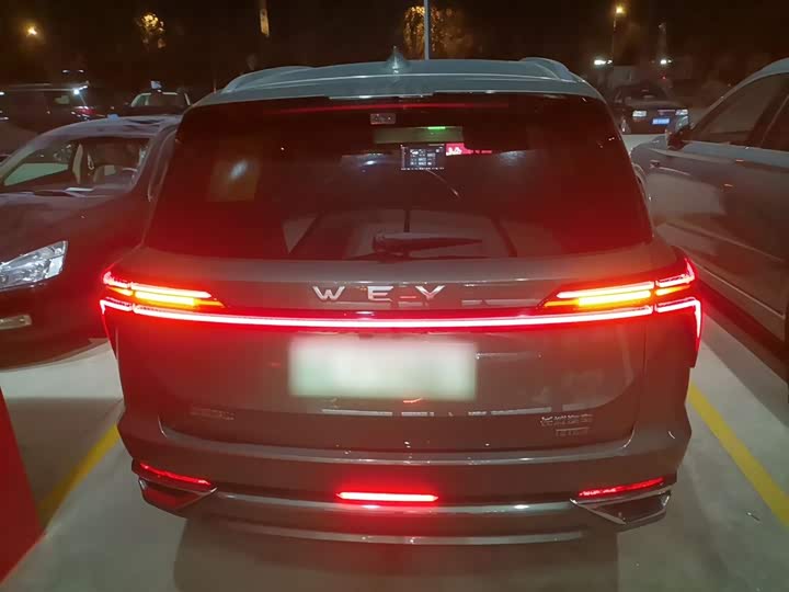 Фото 6 - Wey Lanshan