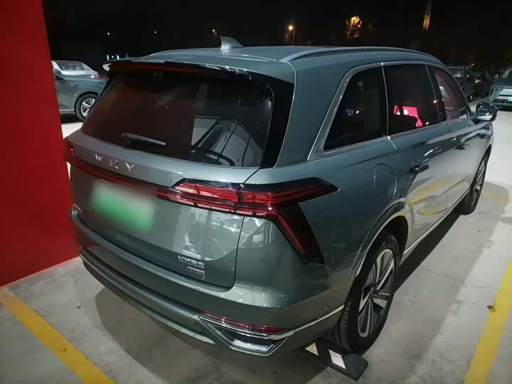 Фото 7 - Wey Lanshan