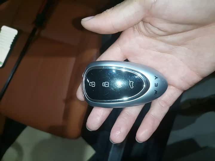 Фото 9 - Wey Lanshan