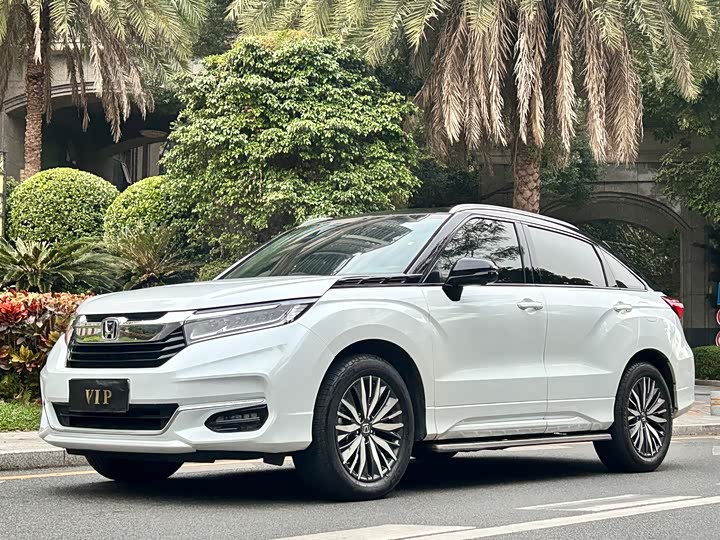 Фото 1 - Honda Avancier