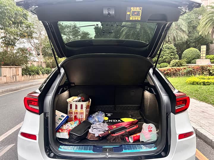 Фото 21 - Honda Avancier