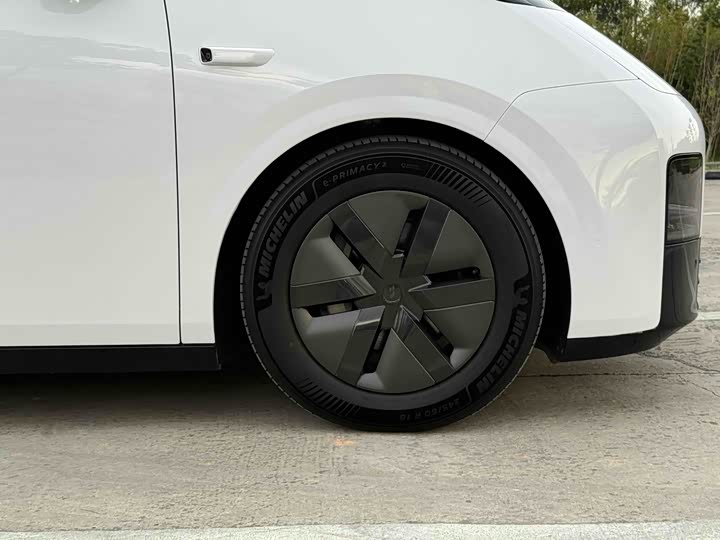 Фото 19 - LiXiang Mega