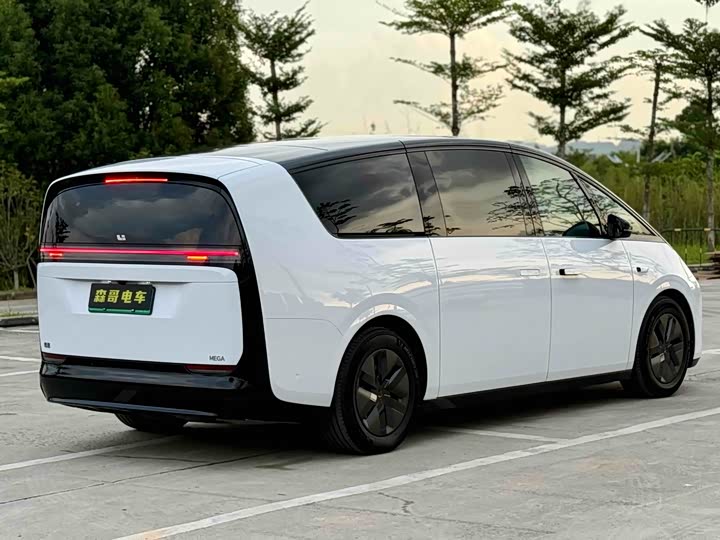 Фото 4 - LiXiang Mega