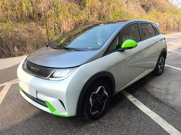 Фото 1 - BYD Dolphin