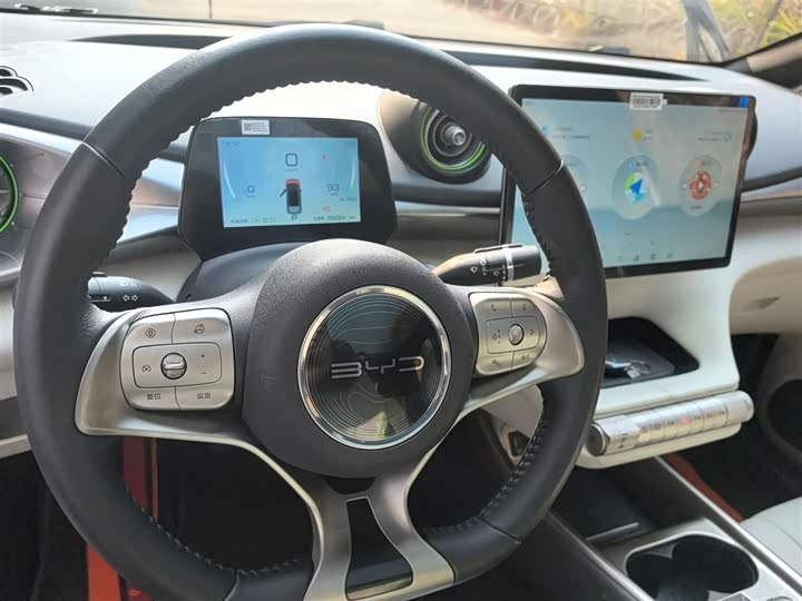 Фото 11 - BYD Dolphin