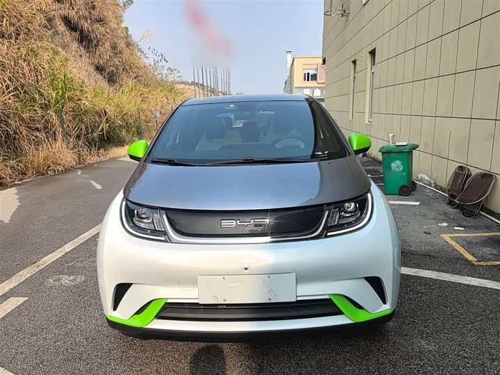 Фото 3 - BYD Dolphin