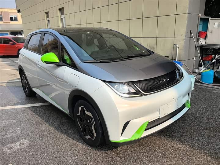 Фото 4 - BYD Dolphin