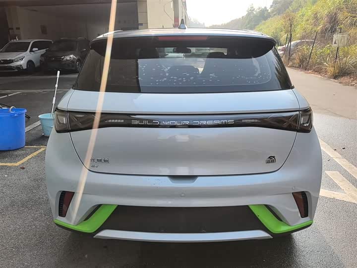 Фото 6 - BYD Dolphin