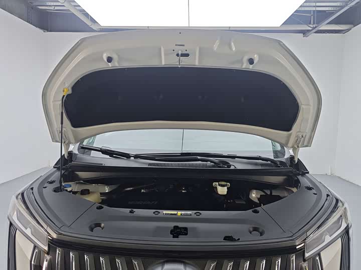 Фото 18 - GAC Trumpchi M8