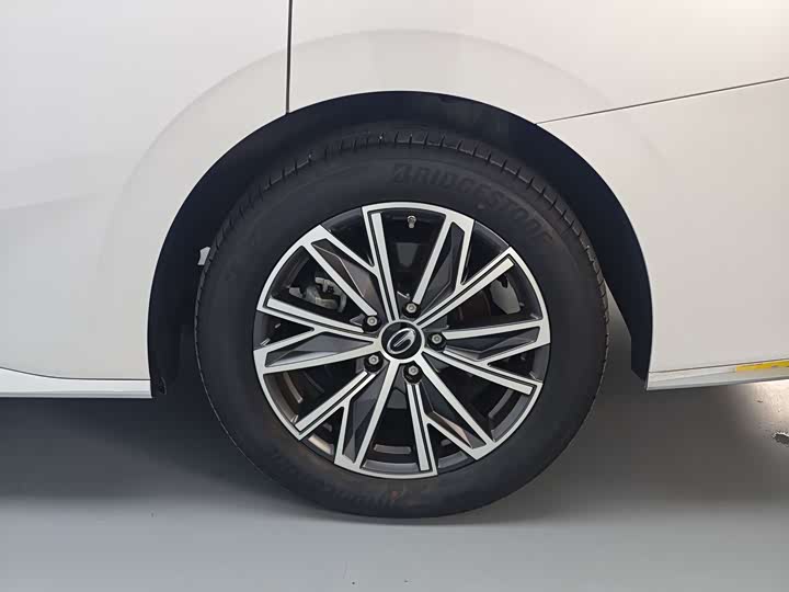 Фото 20 - GAC Trumpchi M8