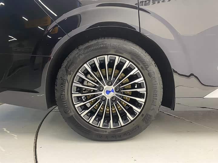 Фото 12 - Denza D9